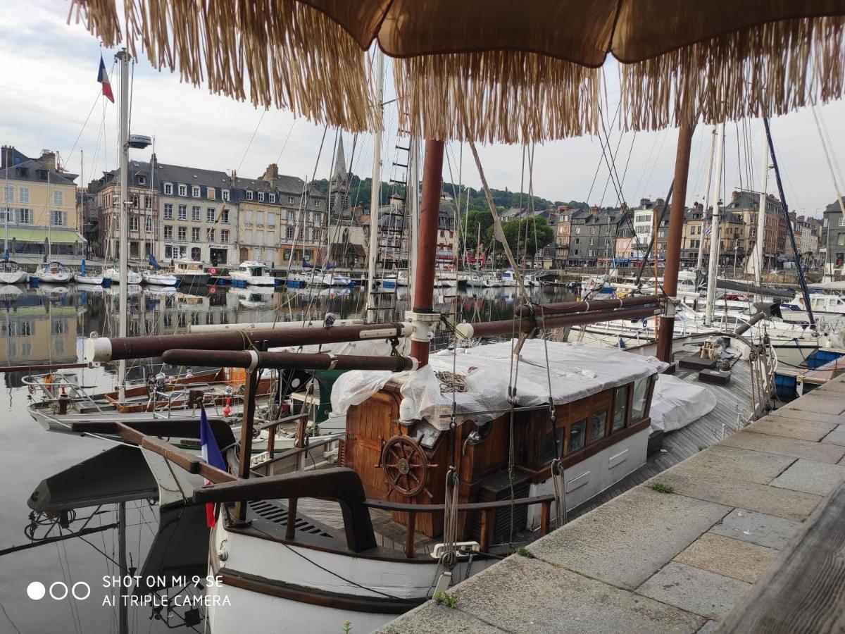 Proche Honfleur Gite Avec Piscine 에쿼뭐빌 외부 사진